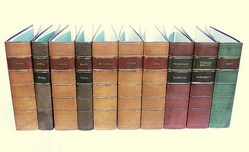 Tłoczony segregator skórkowy