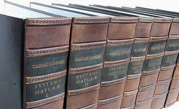 Tłoczony segregator skórkowy